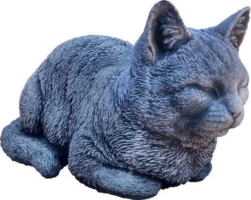 Katze gehockt grobes Fell