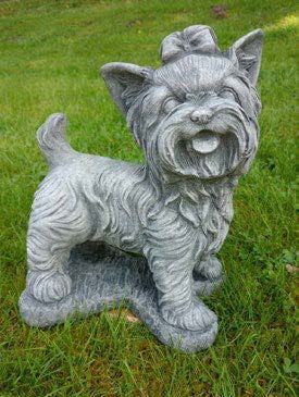 Yokshire Terrier stehend