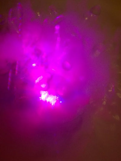 5fach-Nebler mit LED-Farbwechsellicht inkl. Außentrafo